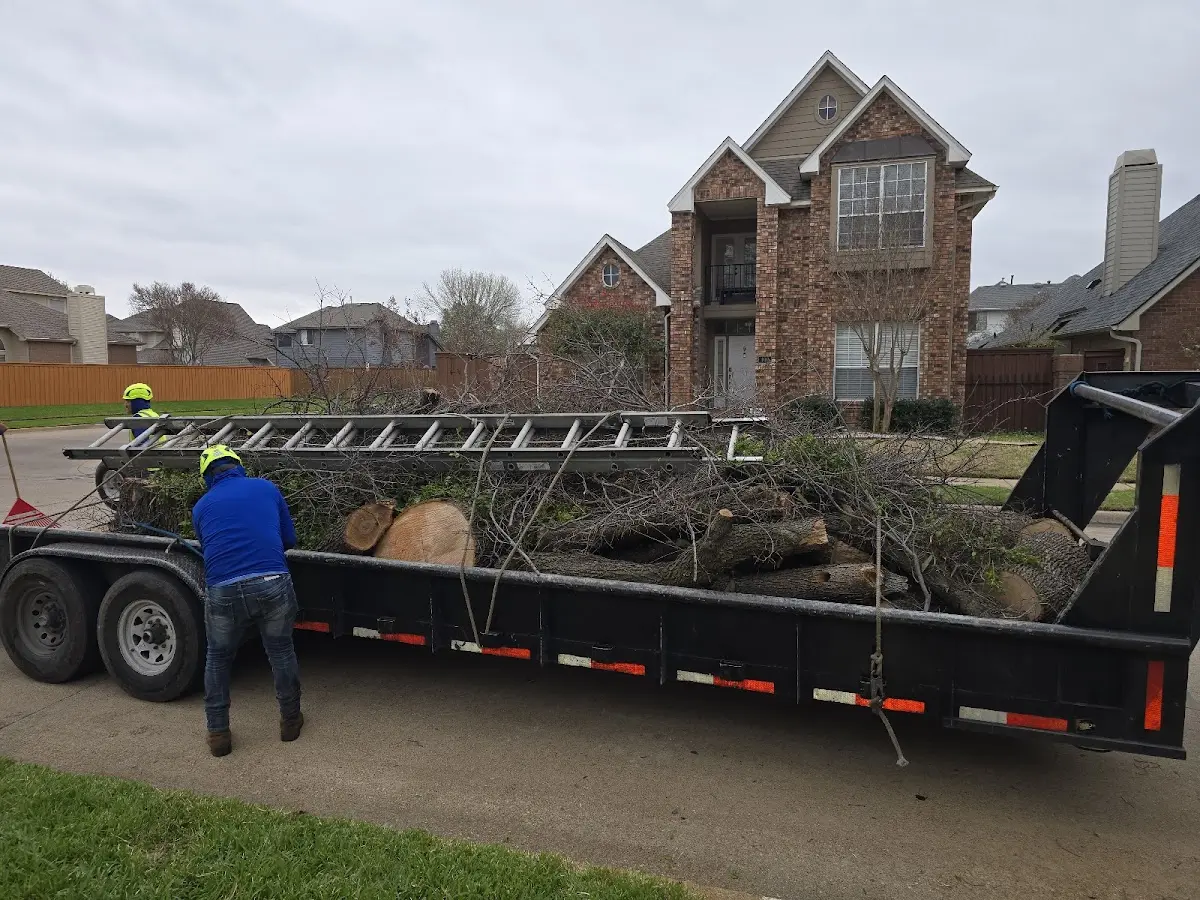 Expert Tree Pest Control with proper safety equipment in Iuka